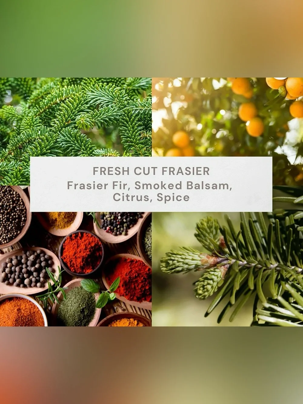 Better Homes & Gardens Glass Fresh Cut Frasier Candle Pumpkin Design 5oz